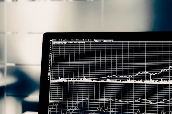 курсы по бесплатному трафику и автоматизации 2025